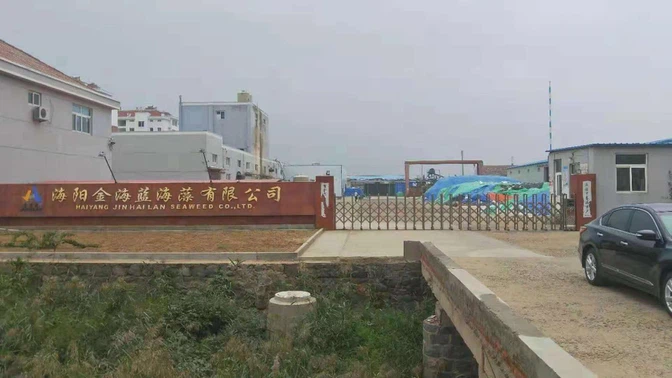 About Our Company